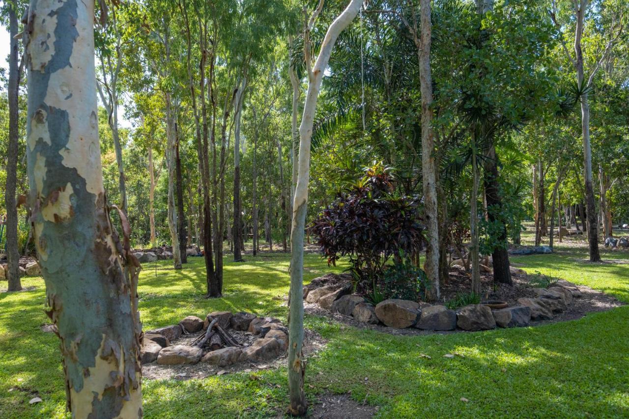 Airlie Beach Eco Cabins - Adults Only Exteriör bild
