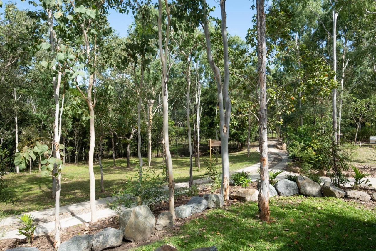 Airlie Beach Eco Cabins - Adults Only Exteriör bild