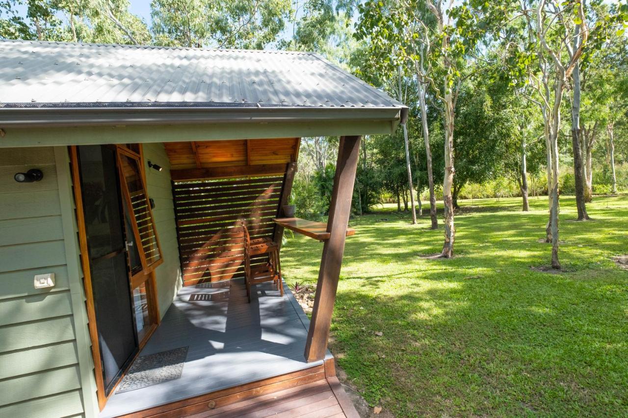 Airlie Beach Eco Cabins - Adults Only Exteriör bild