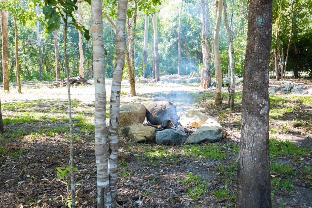 Airlie Beach Eco Cabins - Adults Only Exteriör bild