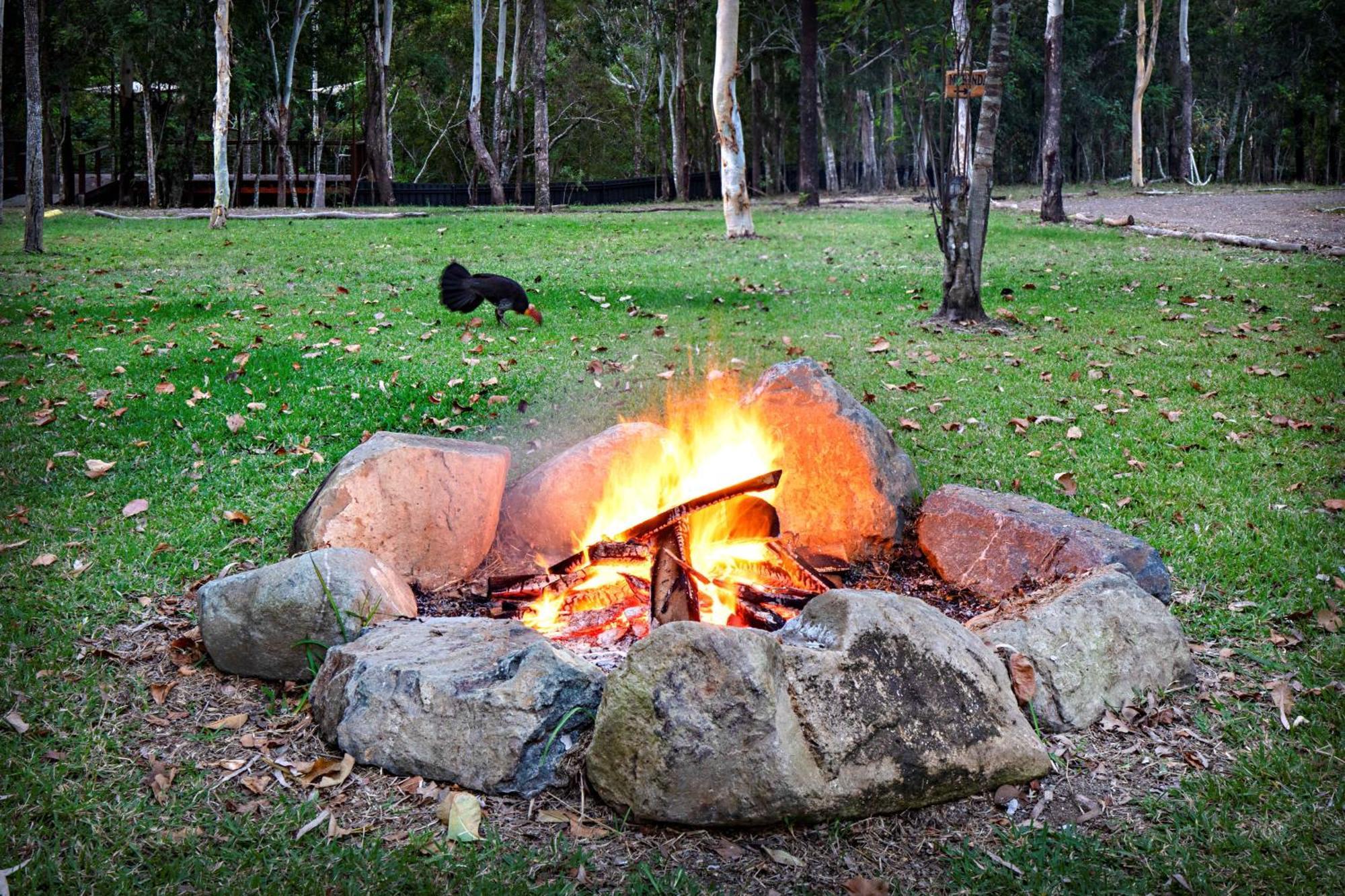 Airlie Beach Eco Cabins - Adults Only Exteriör bild